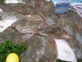 La poissonnerie et les poissonniers d&rsquo;Oujda