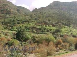 Oujda / Tinissene : furum des jeune