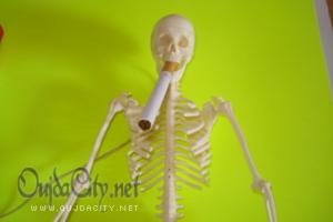 شـــــــباب بدون تدخين