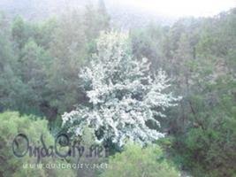 المآوي القروية خطوة نحو تشجيع السياحة التضامنية الجبلية