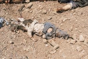 ما رأيكم يا حكام العرب … ماذا يتقولون لربكم غدا …